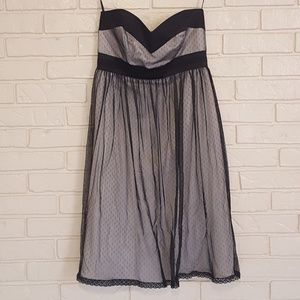 WHBM Dress size 2 NWT